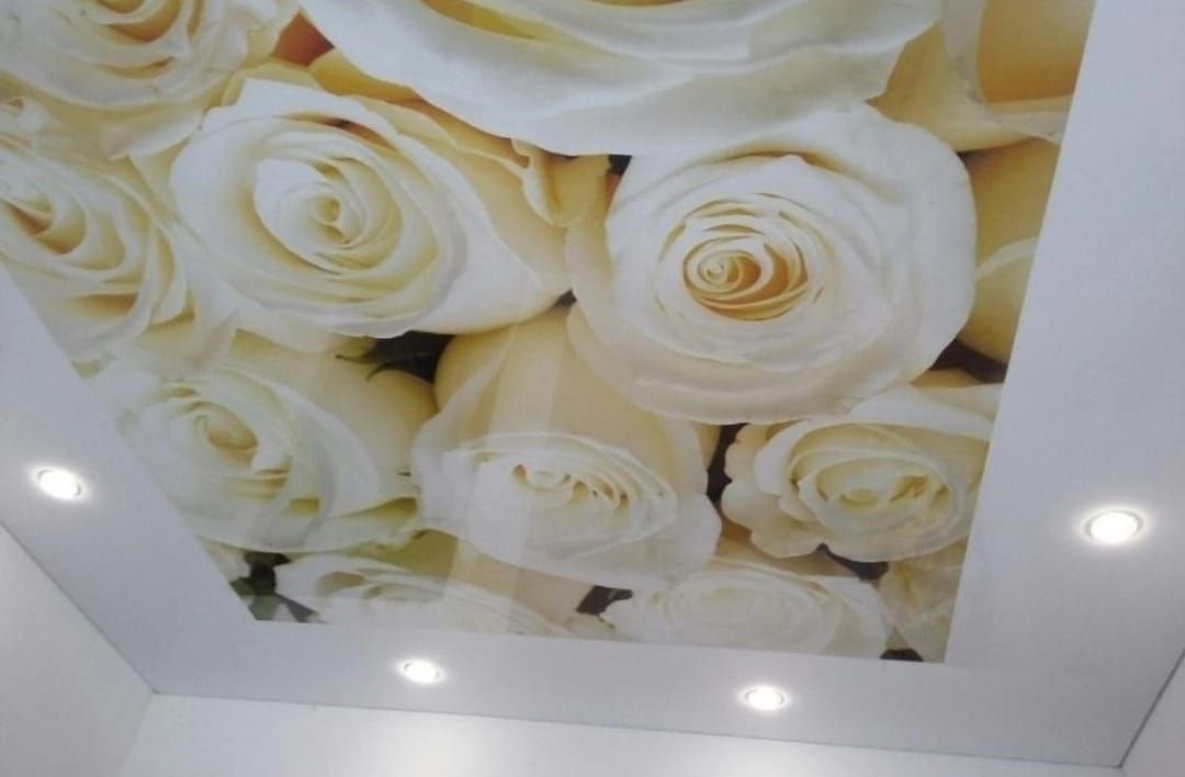 Примеры работ